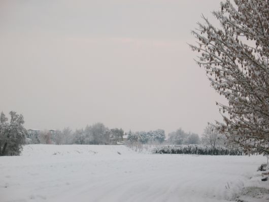 Neve in campagna