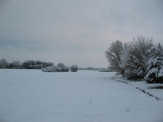 Nevicata 2010