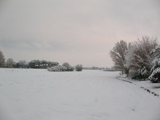 Nevicata sui campi