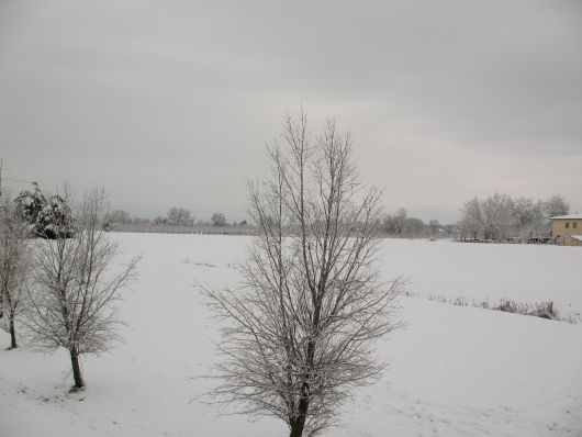 Immagine di campi con la neve