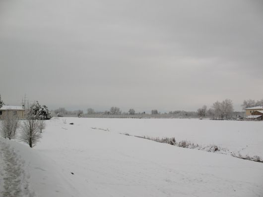 Neve a Ponsacco 2009
