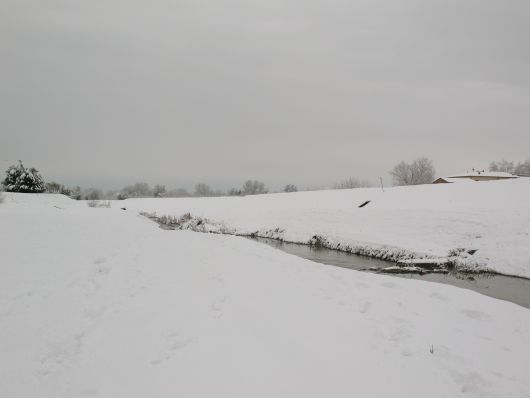 Ponsacco sotto la neve 2009