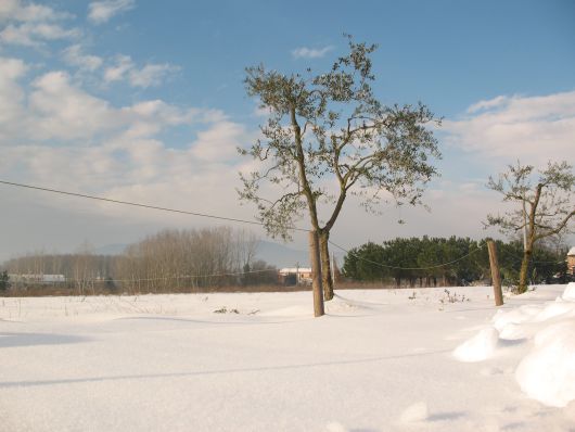 Campo con neve